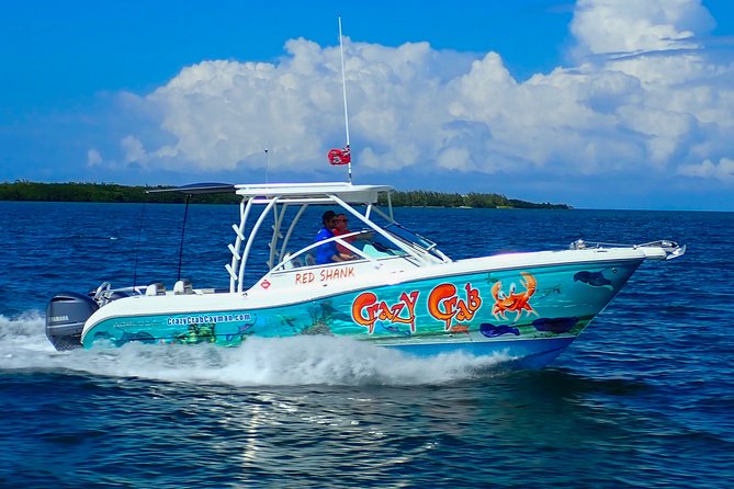 Private Stingray City Snorkeling and BioBay Charter for 10 Guests - The Sum Up