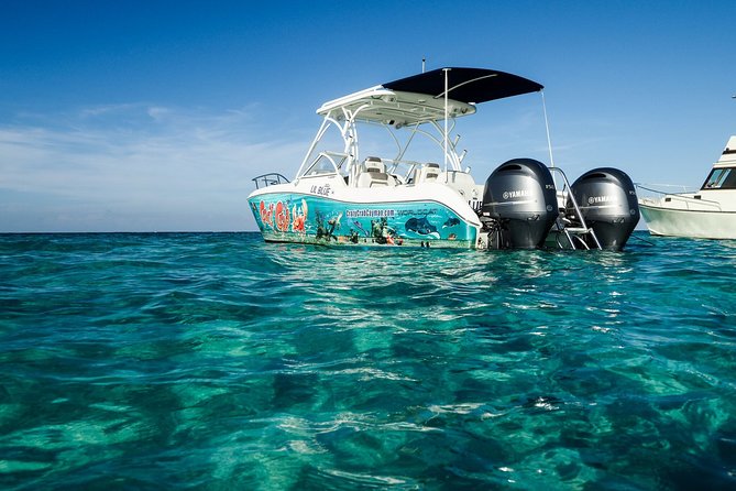 Private Stingray City Snorkeling and BioBay Charter for 10 Guests - Who Would Love This Tour?