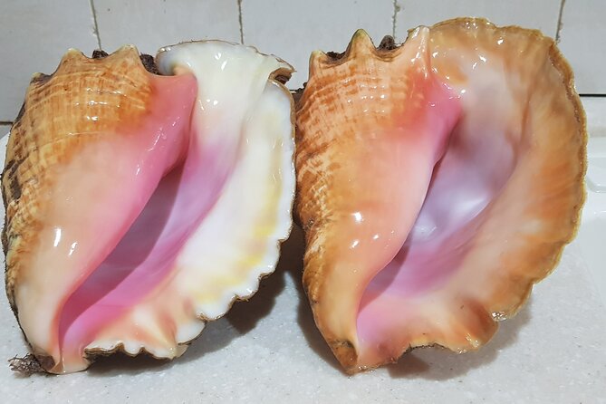 Private Tour to Stingray City & Starfish Point Beach - Who Is This Tour Best For?