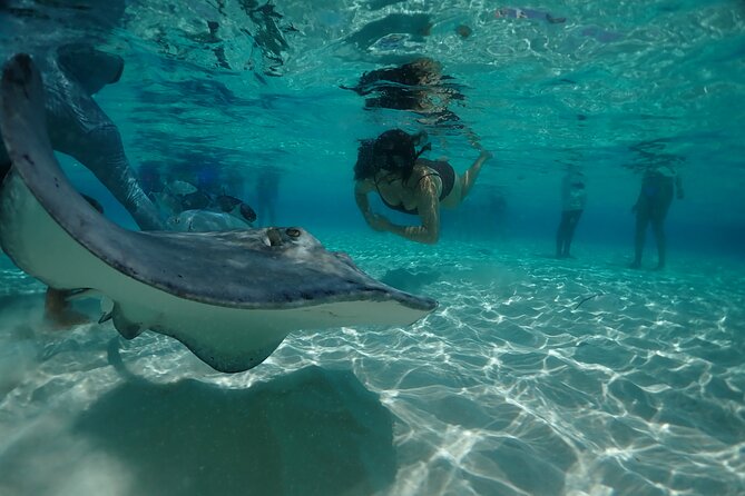 Stingray City Sandbar, Snorkel, Star fish Beach (Family operated) - Whats Included and Whats Not