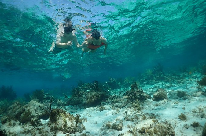 Stingray City Sandbar, Snorkel, Star fish Beach (Family operated) - Final Thoughts: Who Will Love This Tour?
