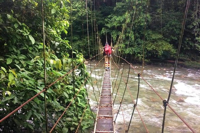 Mulu Headhunter's Trail - 3 Days Trekking & Cultural Experience - Who Will Love This Tour?