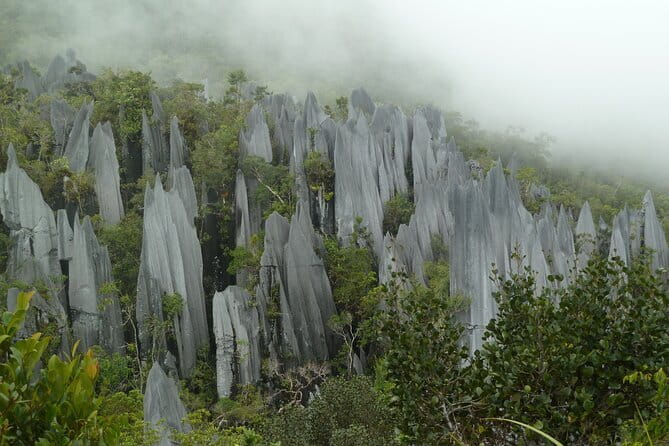 Mulu Headhunter's Trail - 3 Days Trekking & Cultural Experience - Authentic Experiences and Unique Details