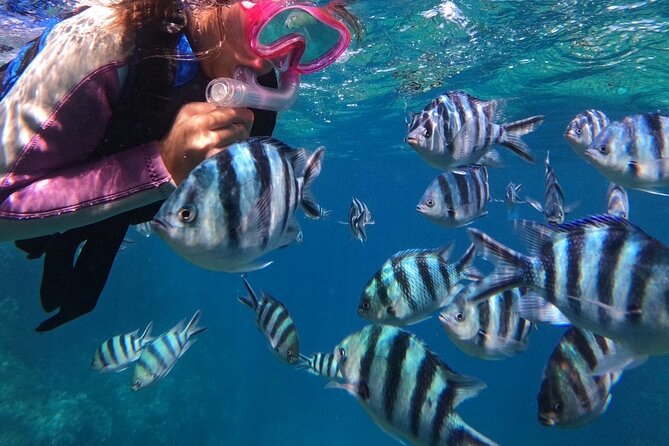 Blue Cave Private Snorkeling with Photoshoot - Snorkeling Experience: What to Expect