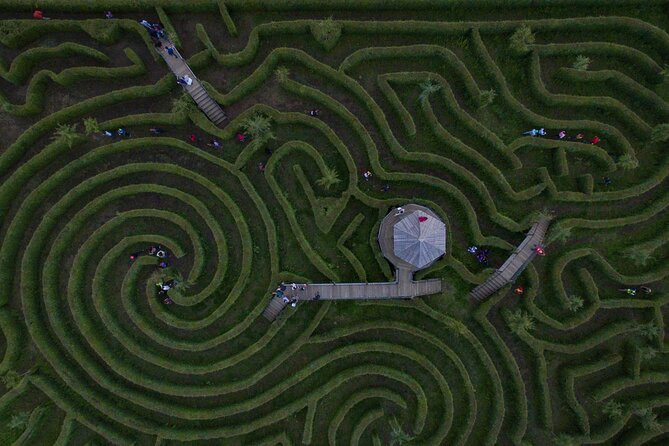 Admission to the Alpinia Nature and Adventure Park - Exploring the Heart of Alpinia: A Detailed Review