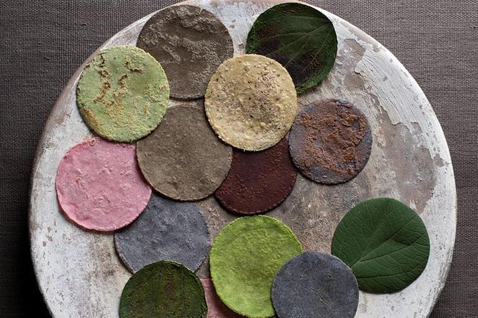 Nixtamal Cooking Class & Tour To The San Agustin Center of Arts - Who Will Love This Tour?