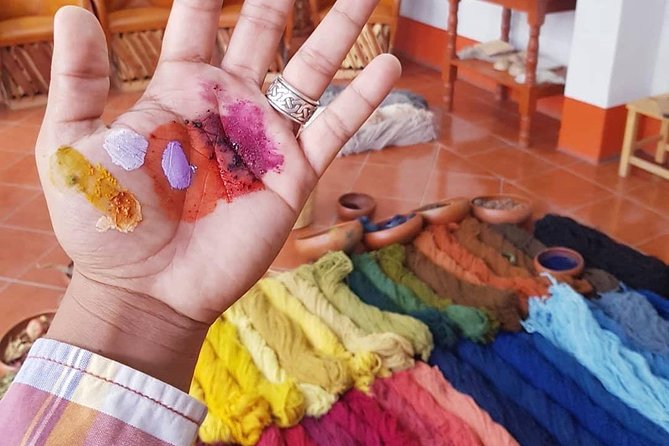 Oaxaca Conmigo Private Tours - Who Should Book This Tour?