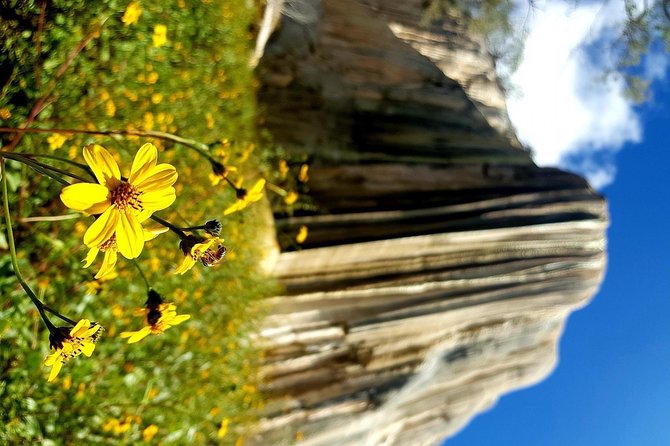 Oaxaca Conmigo Private Tours - Practical Details and Value