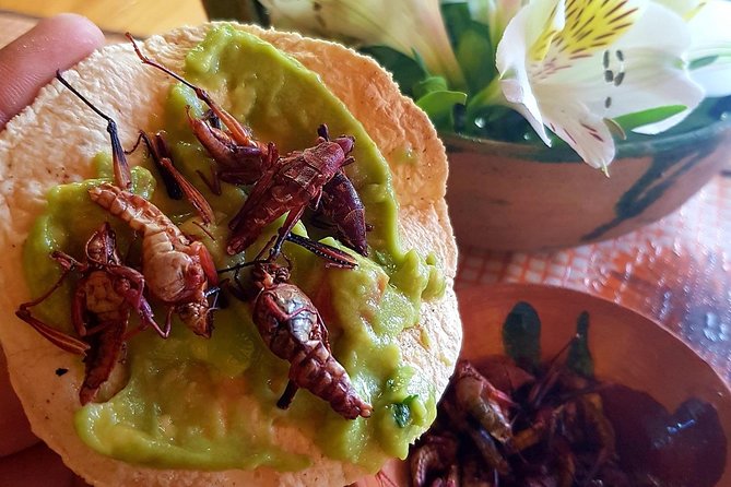 Oaxaca Conmigo Private Tours - Final Thoughts