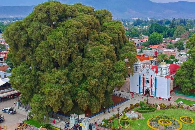 Tour to artisan towns of Oaxaca - Final Thoughts