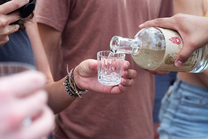 Artisanal Mezcal Culture Tour for Tasting and History - Introduction to Oaxaca’s Mezcal Heritage