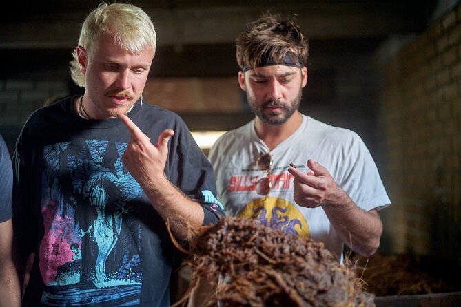 Artisanal Mezcal Culture Tour for Tasting and History - The Community Celebration Mezcales