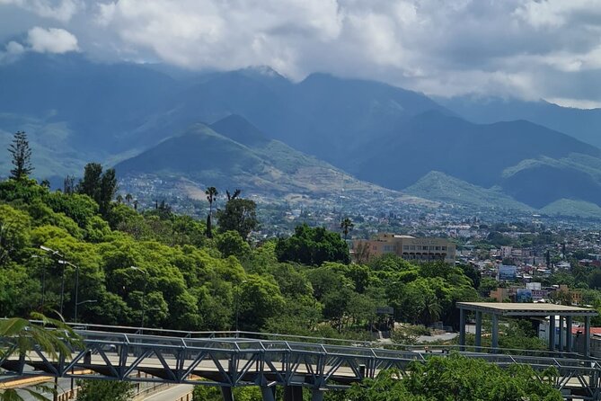 MTB Bike Tour: Enduro to Cerro del Fortín (Black Diamond trails) - What the Reviews Say