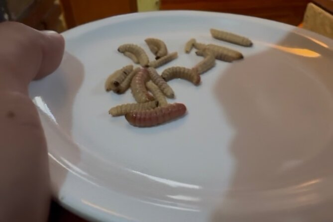 After the footsteps of Nacho Libre in Oaxaca - Practical Details and What to Expect