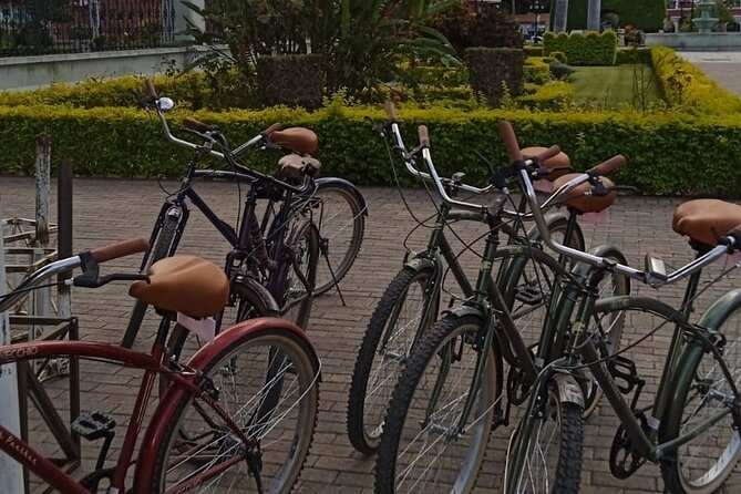 Shared Santa Maria Del Tule Bike Tour - An In-Depth Look at the Santa Maria del Tule Bike Tour