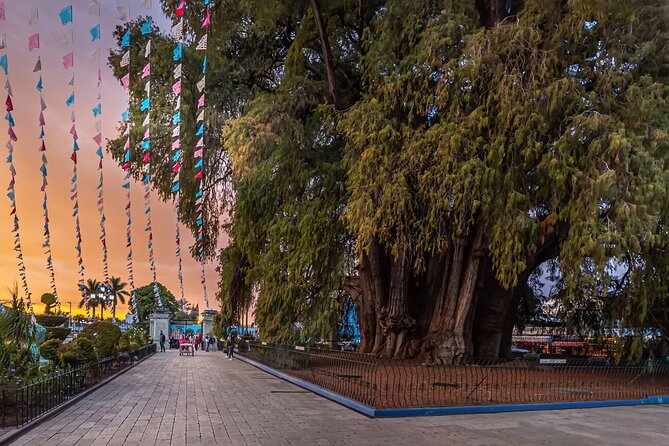 Hierve el Agua Artisanal Route with Mezcal and Oaxacan Food - Frequently Asked Questions