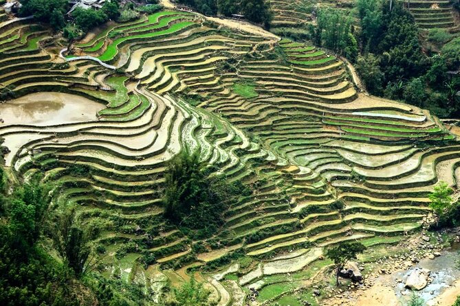 Sapa 1 Day Trekking - FAQs