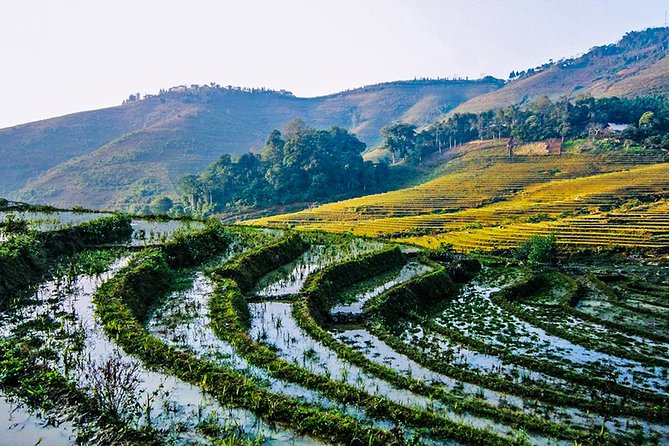 Trekking Through Rice Terraced Fields - 1Day - FAQ