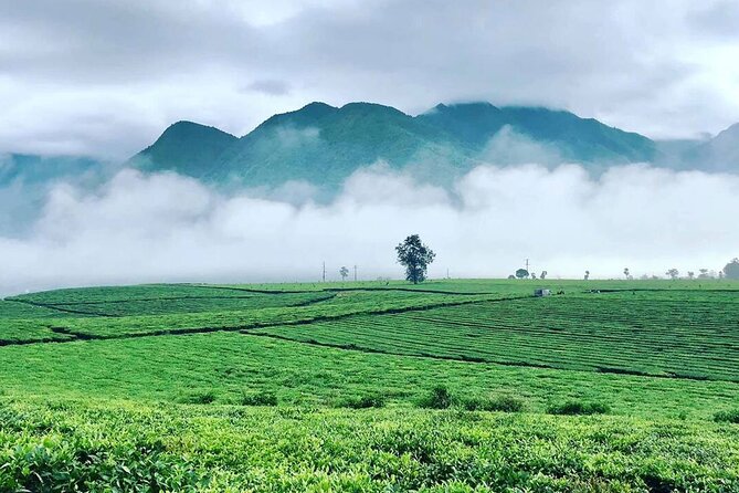 Sapa Full Day Trip: Waterfalls, Cave and Scenic Tea Farm by car - Authentic Insights from Reviews