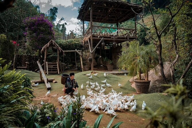 Private Car Trip to Cat Cat, Alpine Coaster and Moana Café - What’s Included and What to Consider