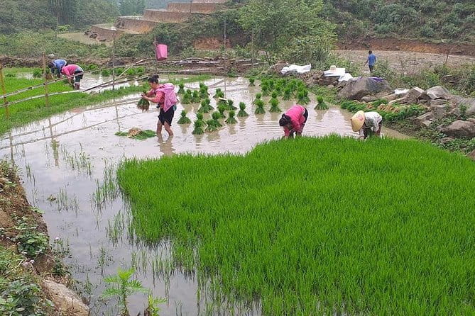 Sapa Dragon Cloud Glass Bridge and Silver Waterfall Half-Day Tour - FAQs