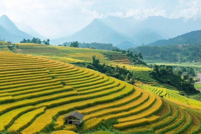 Half Day Sapa Cat Cat Explore Waterfall, Workshop, H'mong Local - Is This Tour Worth It?