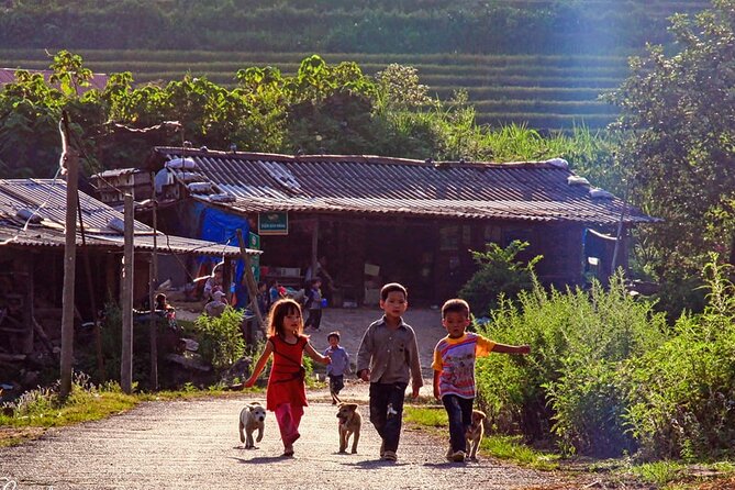 Sapa: Scenic Trek Through Majestic Rice Terraces & Rural Villages - Practical Details and Experience Quality