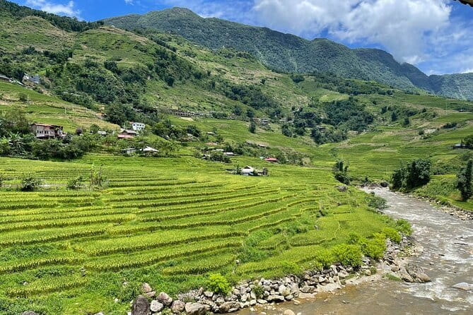 From Sapa: Half-day Guided Trek to Lao Chai & Ta Van with Lunch - Exploring Sapa’s Village Life and Natural Beauty