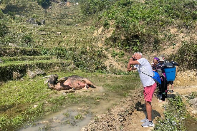 Sapa Scenic Journey at Terraced Fields and Local Village Life - Who Is This Tour Best Suited For?