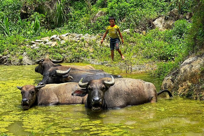 Sapa Scenic Journey at Terraced Fields and Local Village Life - Practical Details and What to Expect