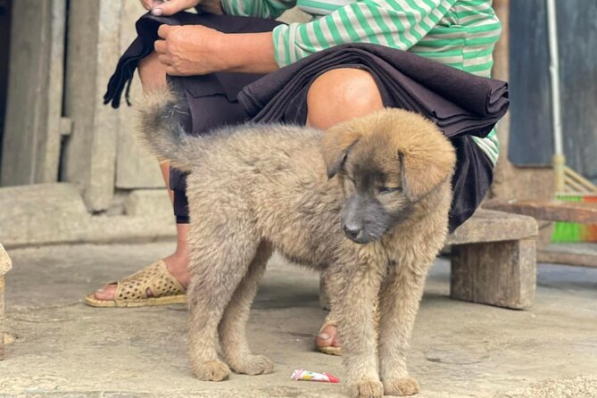 Sapa Half-Day Trekking: Stunning Rice Terraces & Local Village - Exploring the Itinerary in Detail