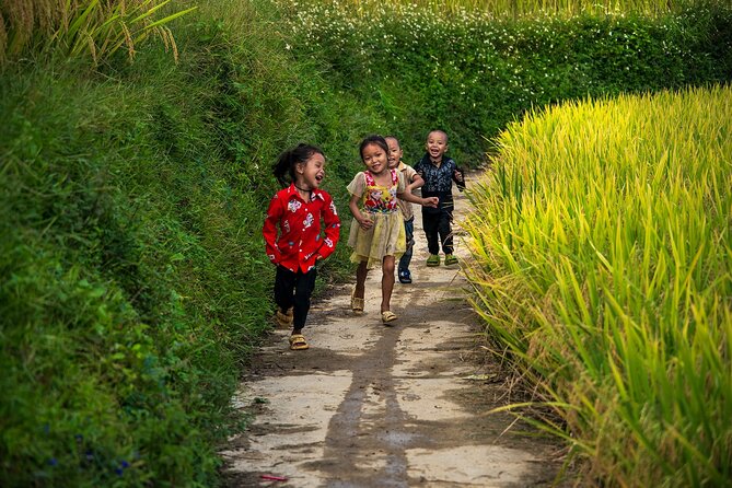 Sapa Half-Day Trekking: Stunning Rice Terraces & Local Village - The Experience from Travelers’ Perspectives