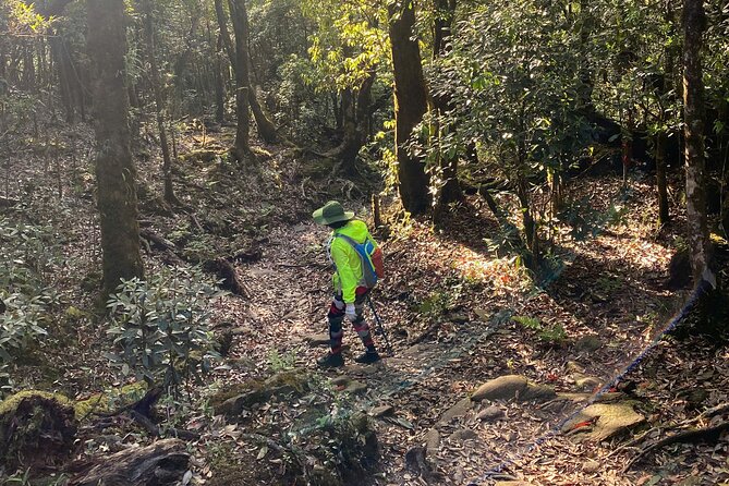 Fansipan Summit Challenge - Who Is This Tour Best For?