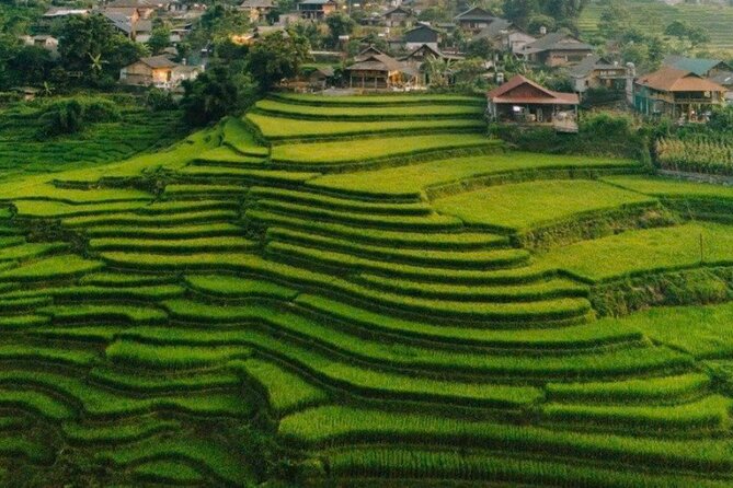 Sapa Half Day Trekking Tour - An In-Depth Look at the Sapa Half Day Trek