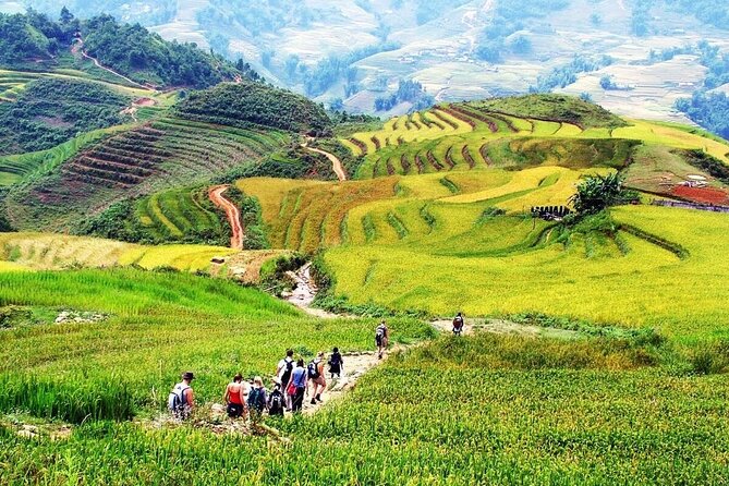 Sapa Half Day Trekking Tour - Key Points