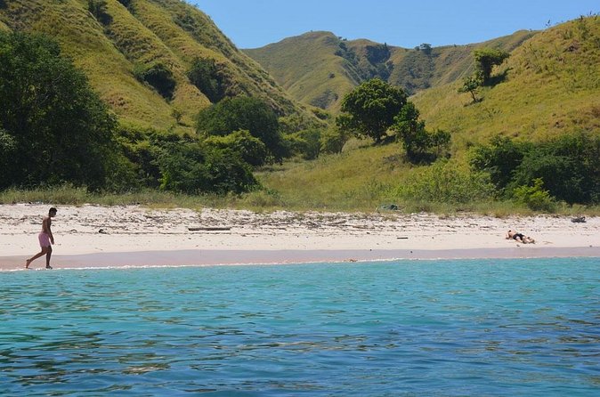 Private Transfer from Malang to Surabaya Airport (SUB) - FAQs