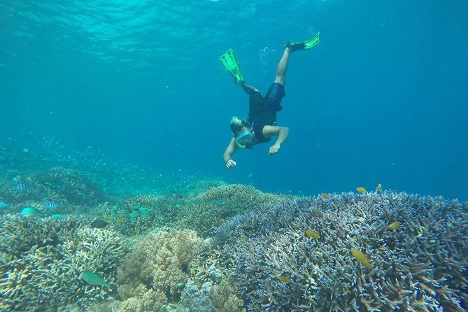 Sharing Snorkeling Trip Gili islands Depart Lombok/Gili Trawangan - An In-Depth Look at the Snorkeling Tour