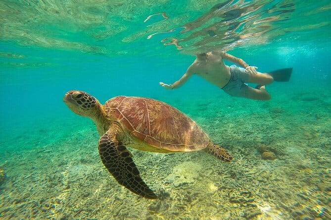 Private Snorkeling in 3 GiIi Islands - Who Should Consider This Tour?  
