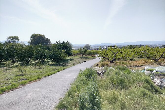 Village to village walk: Japan's oldest road, Yamanobe ancient trail (Private) - Final Thoughts