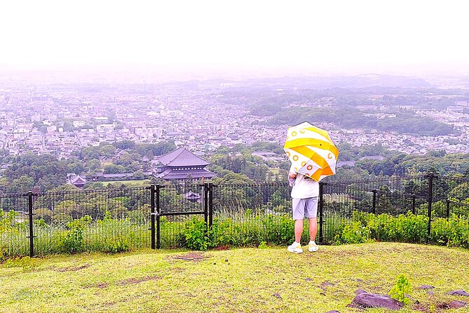 Nara: Hike Mt. Wakakusa and Encounter Wild, Free-Roaming Deer - Authentic Insights from Past Participants