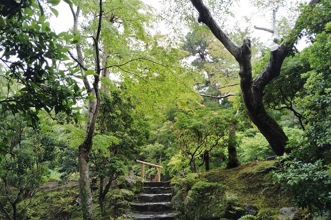 Nara: Yoshikien and Isuien Gardens Tour with Tea Tasting - The Tea Tasting: Serenity with a View