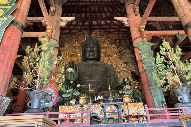 Nara: Half-Day Private Tour of 4 Must-See Spots & Deer Park - Practical Details and Value