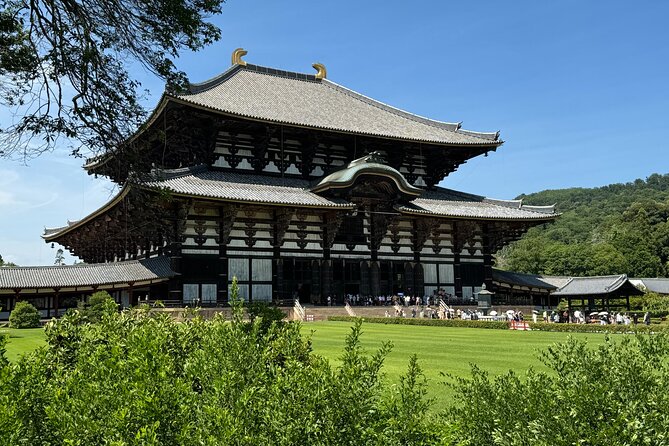 Nara: Half-Day Private Tour of 4 Must-See Spots & Deer Park - Final Thoughts