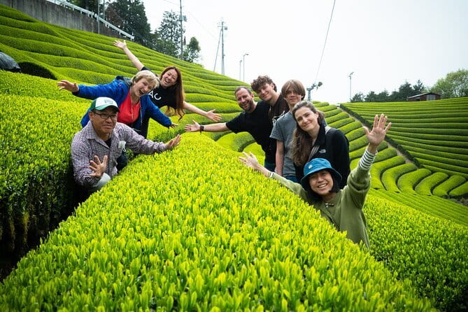 Fushimi Inari and Nara Private and Guided Tour in Spanish - Booking and Confirmation