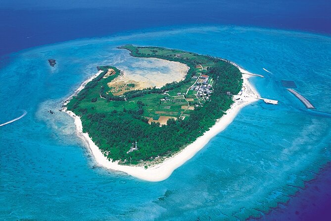 Day Trip to Minna Island Beach with Snorkeling Options - Key Points