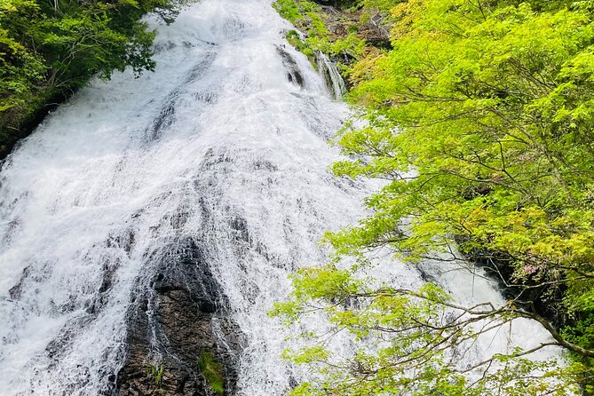 Senjogahara Nature Guide Tour in Nikko - Who Will Love This Tour?
