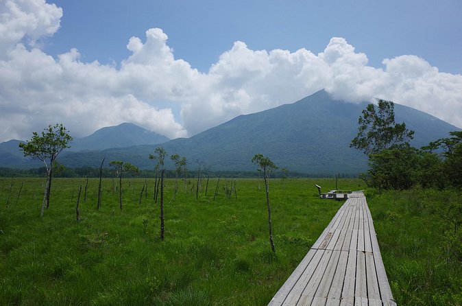 Senjogahara Nature Guide Tour in Nikko - Final Thoughts
