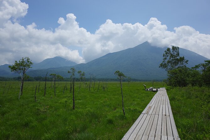 Senjogahara Nature Guide Tour in Nikko - Exploring the Senjogahara Nature Guide Tour in Nikko