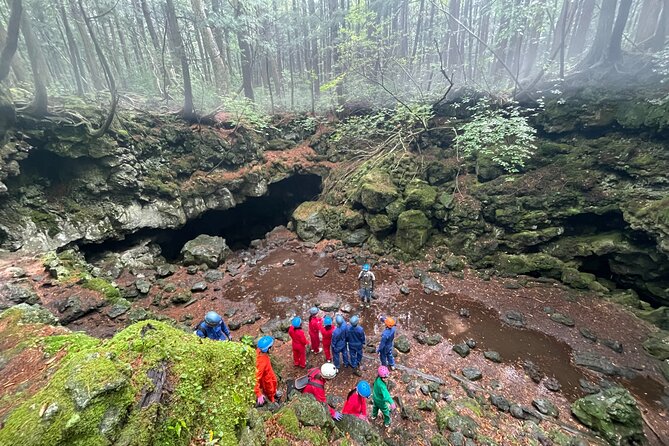 Hiking and Caving in Aokigahara Forest at the Foot of Mt. Fuji - Inside the Forest: What to Expect from the Tour