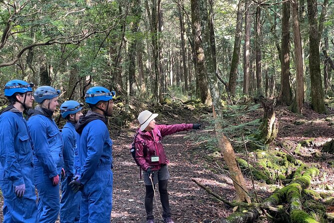 Hiking and Caving in Aokigahara Forest at the Foot of Mt. Fuji - Practical Details and Value